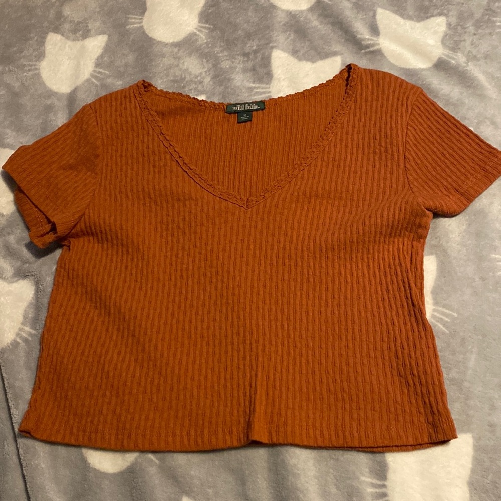Wild Fable Burnt Orange Cropped V-Neck